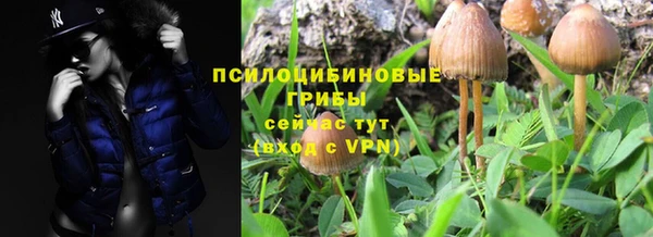 стафф Белоозёрский