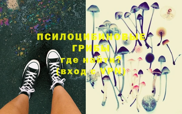 бошки Белокуриха