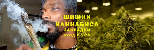 бошки Белокуриха